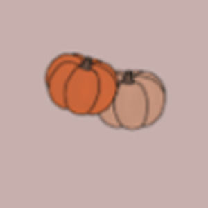 Meet your Posher, Selena